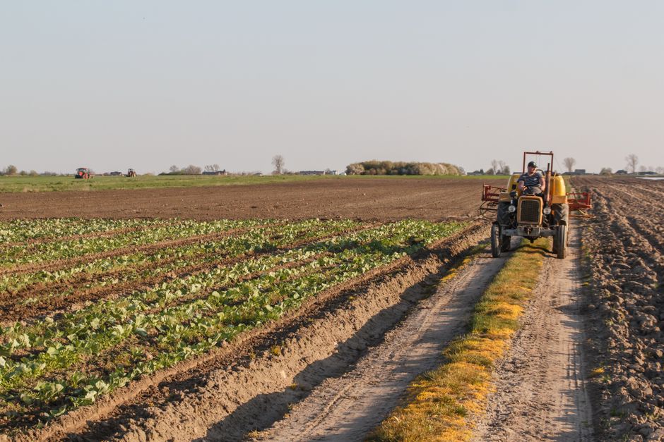 Óleo Mineral Agrícola