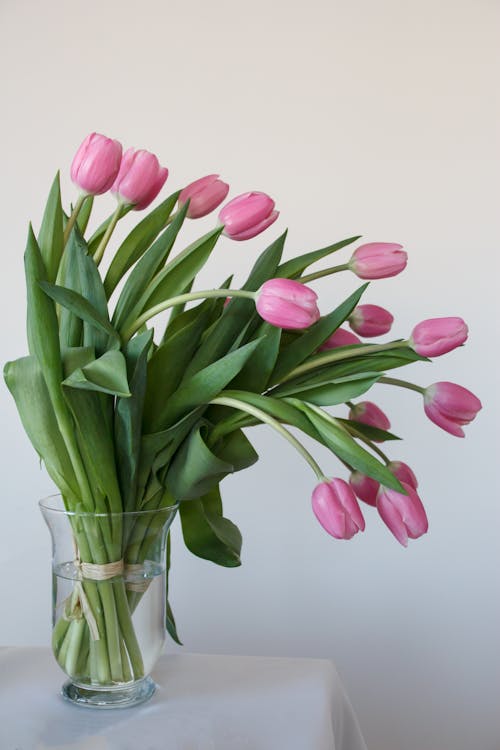 тюльпаны с вазони