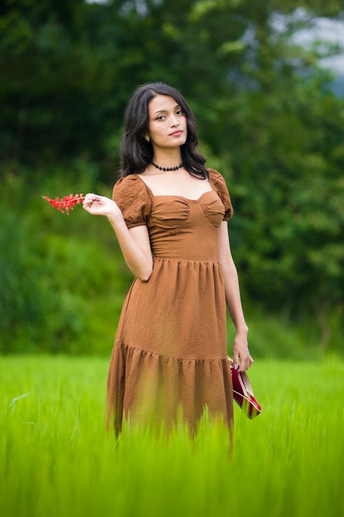 Portrait of Brunette Woman in Dress on Meadow