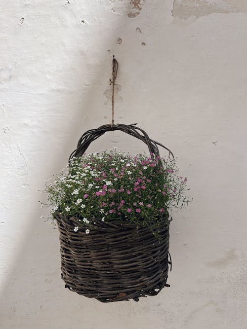 A basket with flowers hanging from a wall