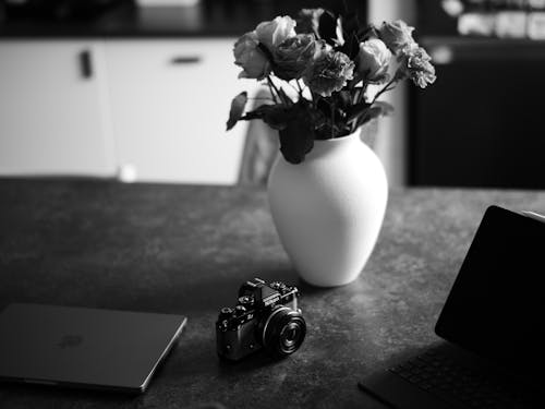 Camera and Vase with Flowers in Black and White