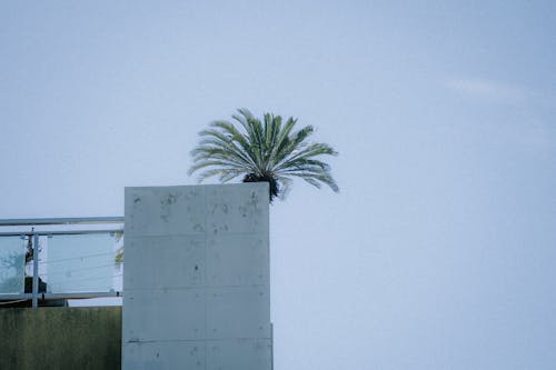 Foto d'estoc gratuïta de balcó, balcons, barana