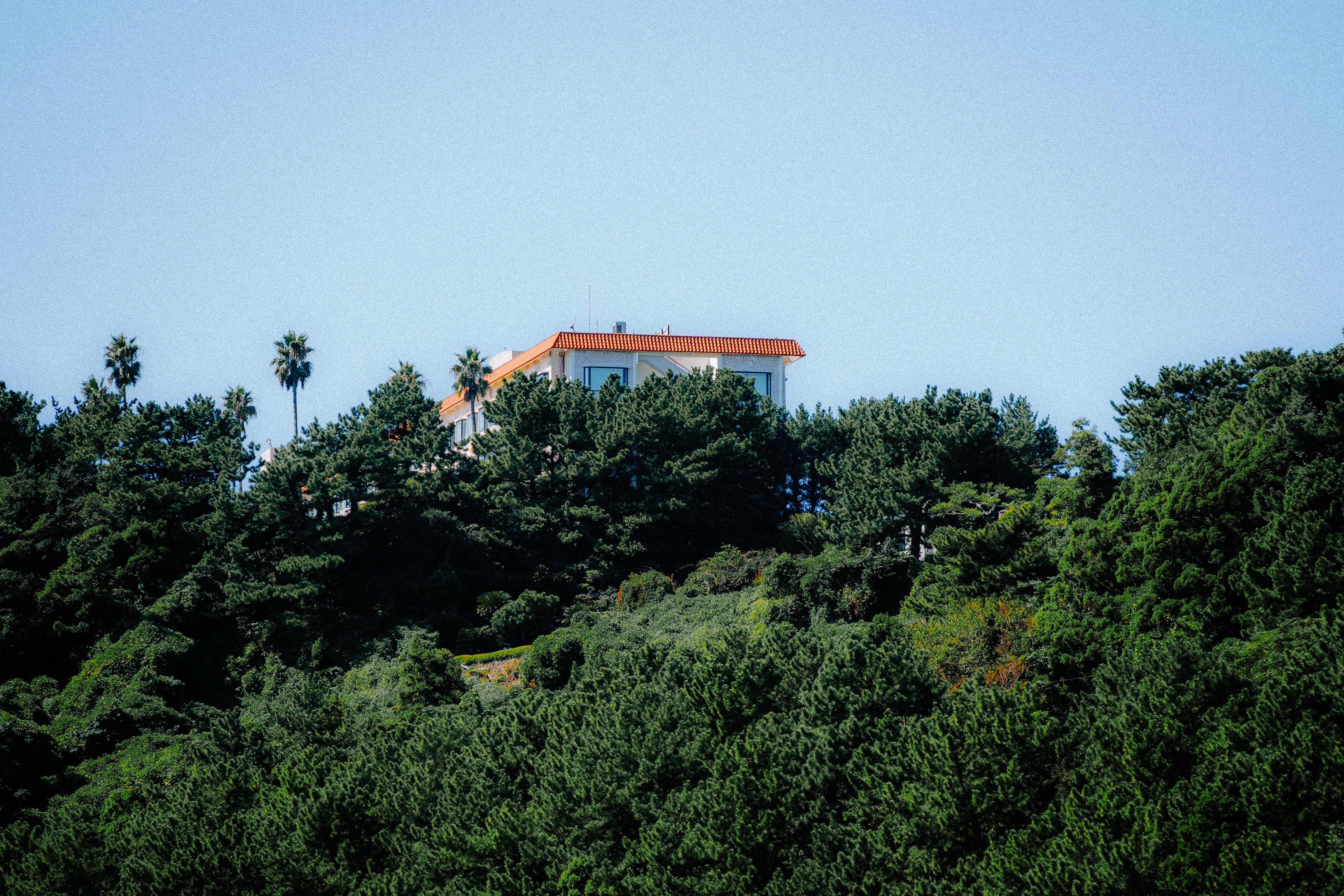 A picturesque mansion nestled among lush greenery and clear blue sky on a sunny hilltop.