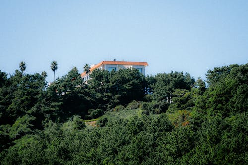 View of a Villa on Top of a Hill under Blue Sky 