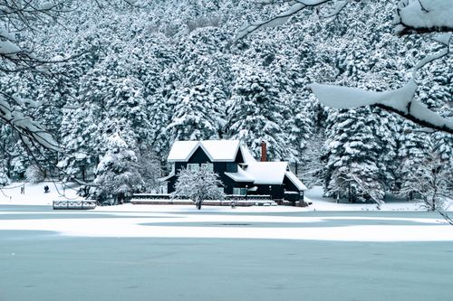 Free Charming cabin nestled in a serene snowy forest, surrounded by winter beauty. Stock Photo