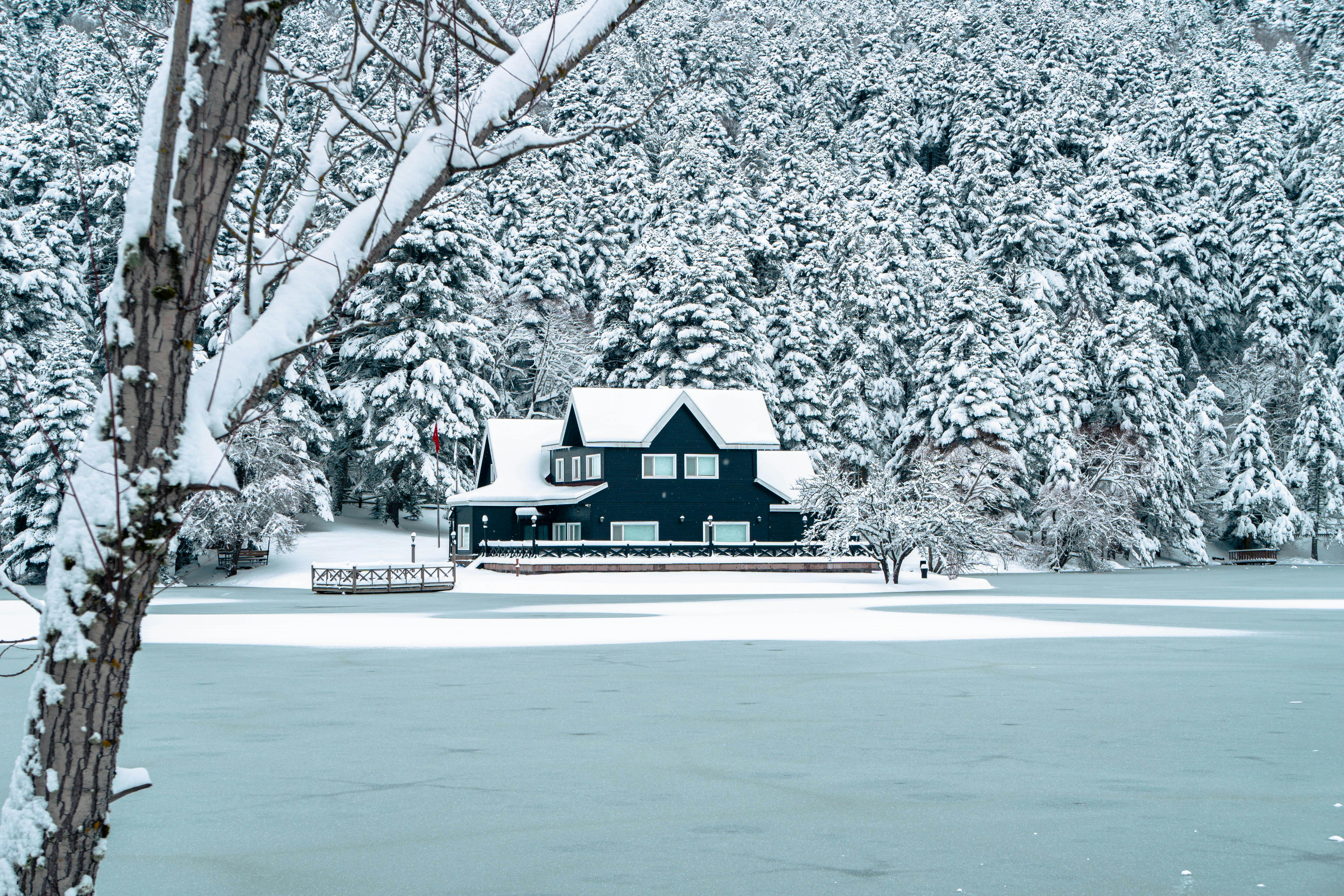 Roundup: Weather cancellations / Mortgage rates rise / Plumbing rules reworked — Photo by Eren Arıcı on Pexels
