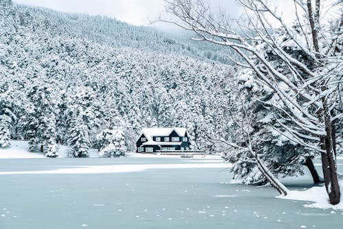 Kostnadsfri bild av frost, frusen sjö, hus