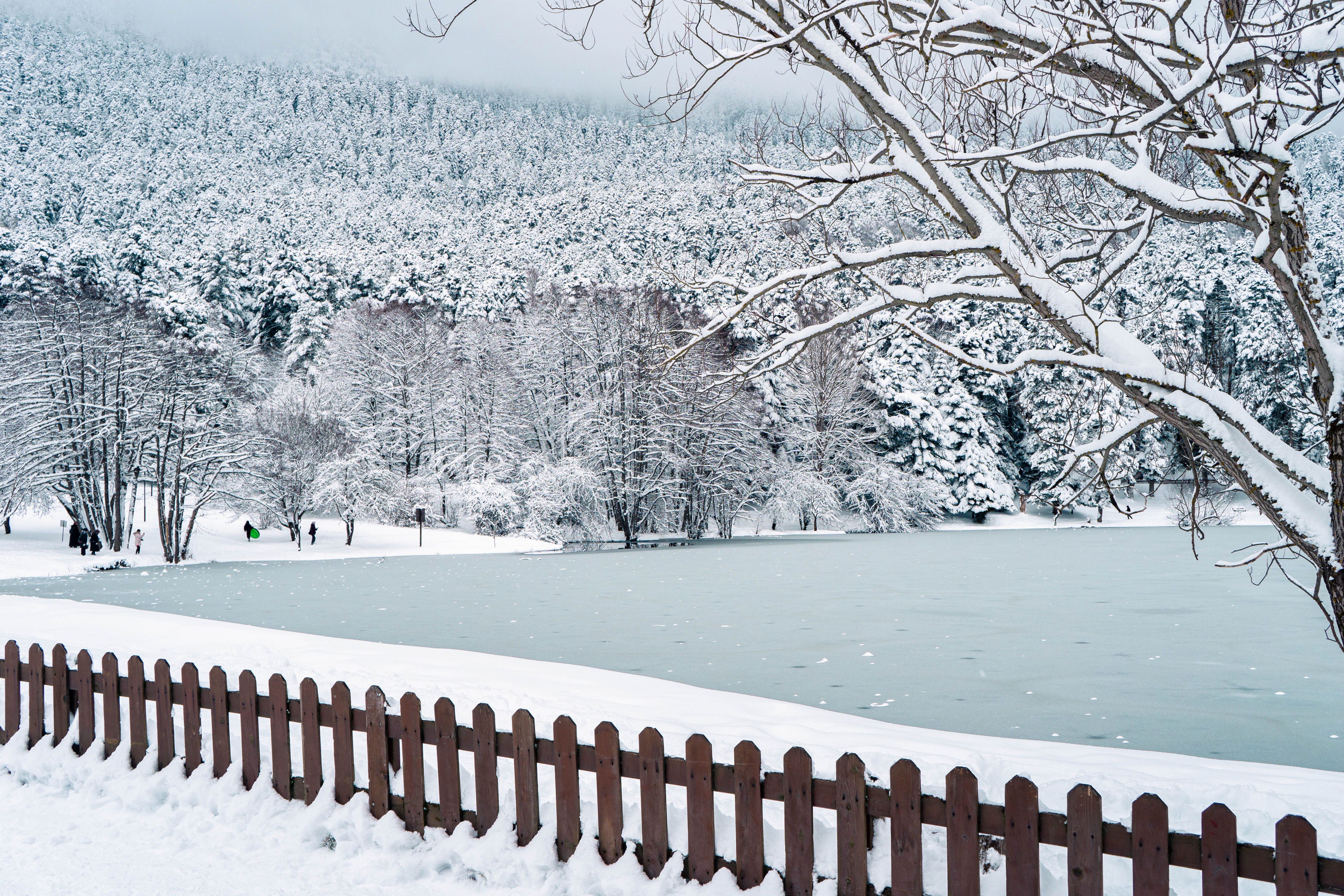 After Effects Animated Snow Overlay Pack