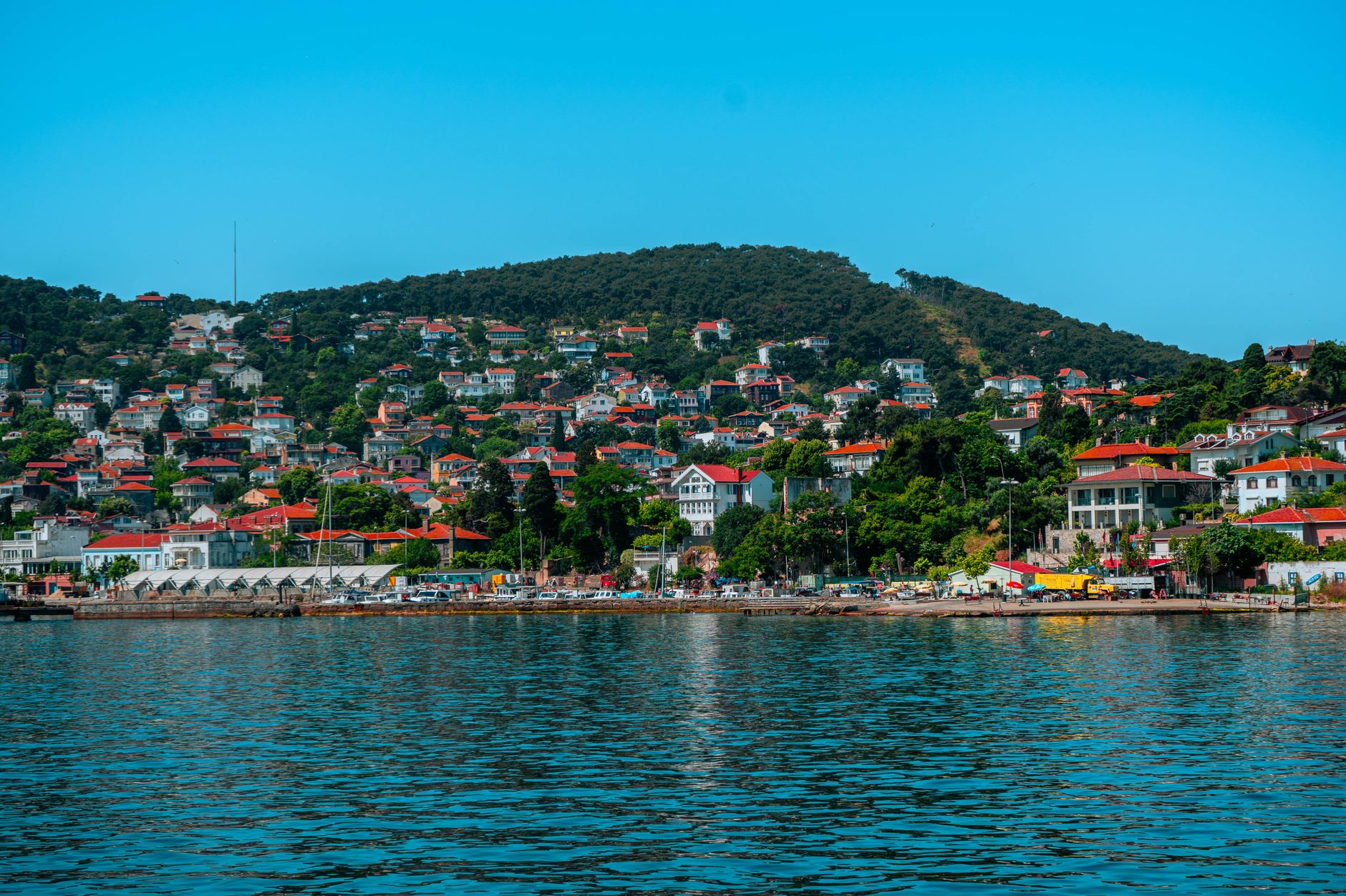 Panoramic view of a hillside with houses by the sea, blue sky, and lush greenery.