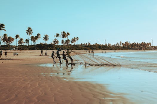Fishermen casting nets on a sunny beach in João Pessoa, Brazil with palm trees.