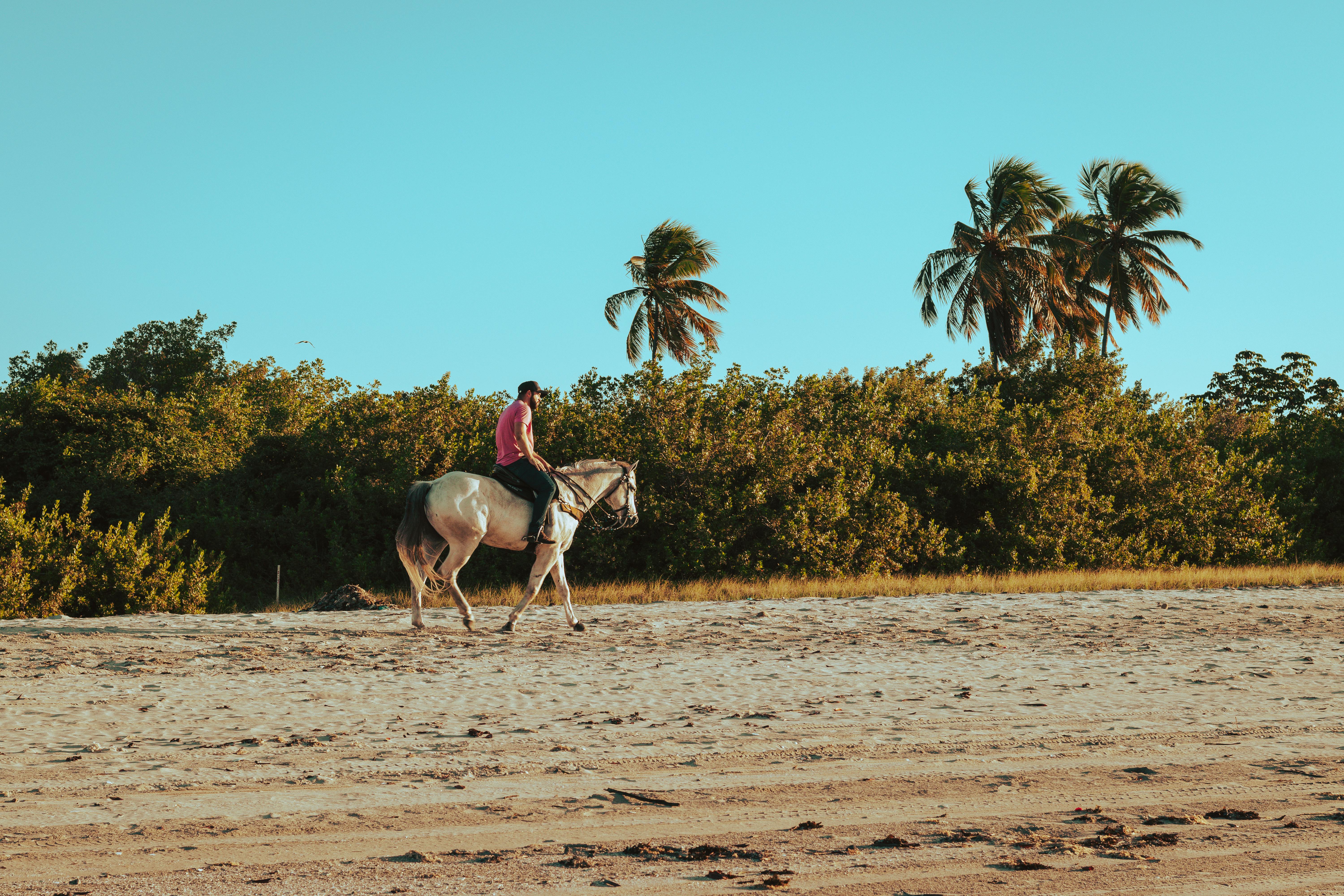 Man Riding Horse on Brazilian Beach · Free Stock Photo