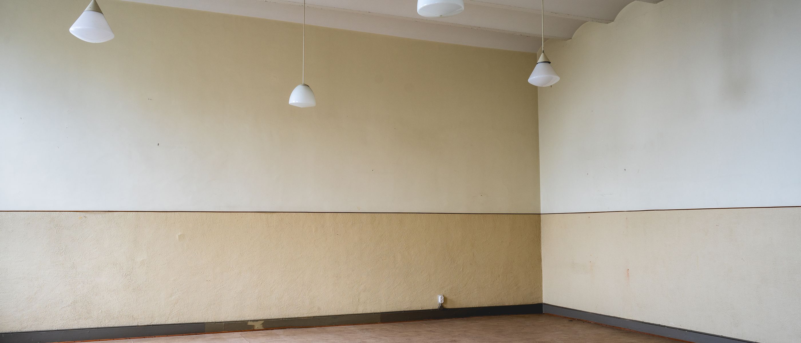 Masonry and Render Painting in Bounds Green — walls rolled to an even, flat finish