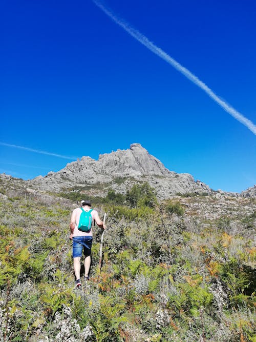 Fotos de stock gratuitas de alpinismo, aventura, caminante