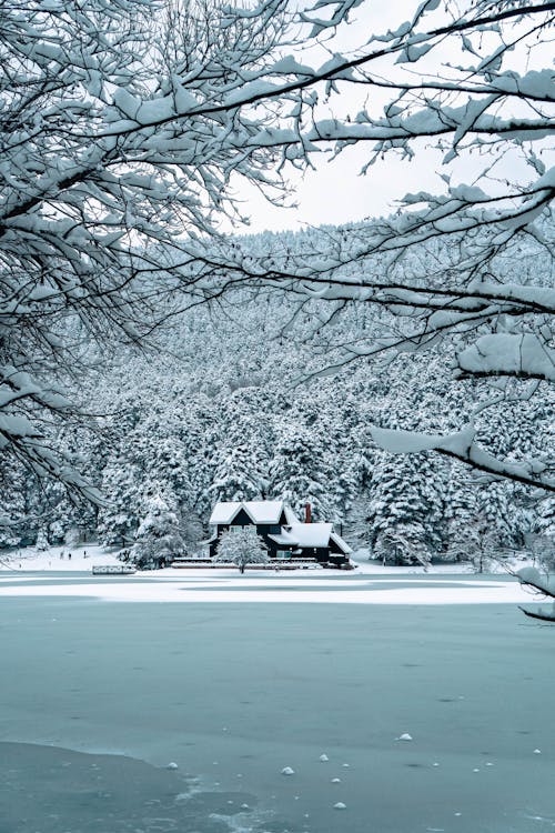 Small Cottage House Covered with Snow by a Frozen Lake