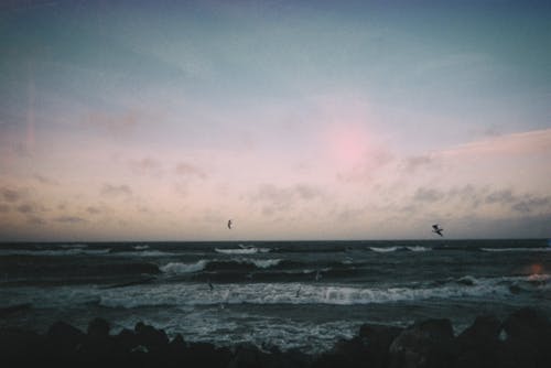 Rough Sea at Dawn