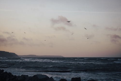 Безкоштовне стокове фото на тему «вечір, махати, море»