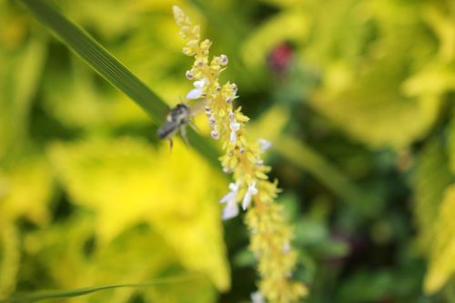 Free Mother nature up and close Stock Photo
