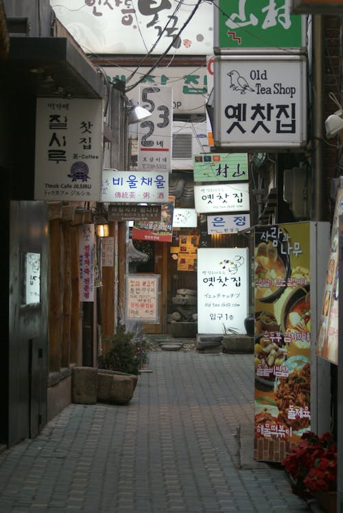 Darmowe zdjęcie z galerii z aleja, banery, korea południowa