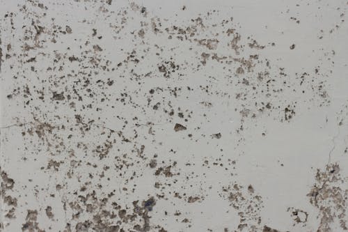 Free stock photo of cement, grunge, grunge background