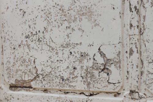 Free stock photo of cement, cement wall, cracked