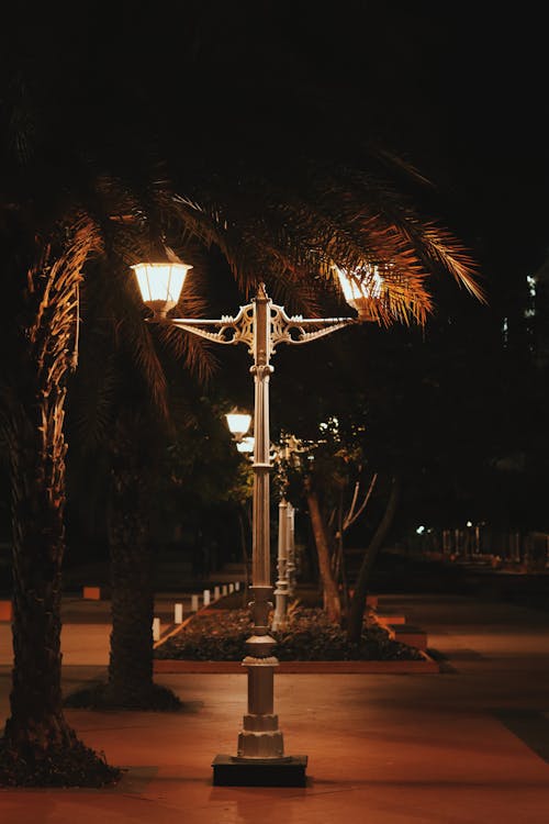 Streetlight at Night