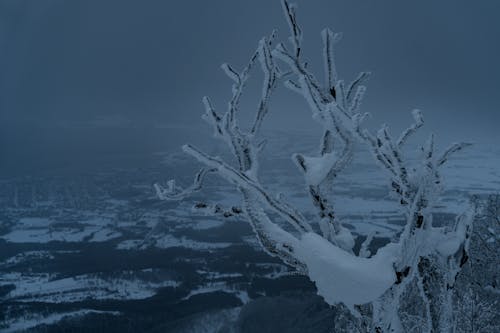 Бесплатное стоковое фото с активные виды спорта, Джереми Бишоп, зима