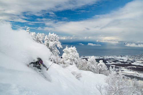 おとこ, コールド, スキーの無料の写真素材