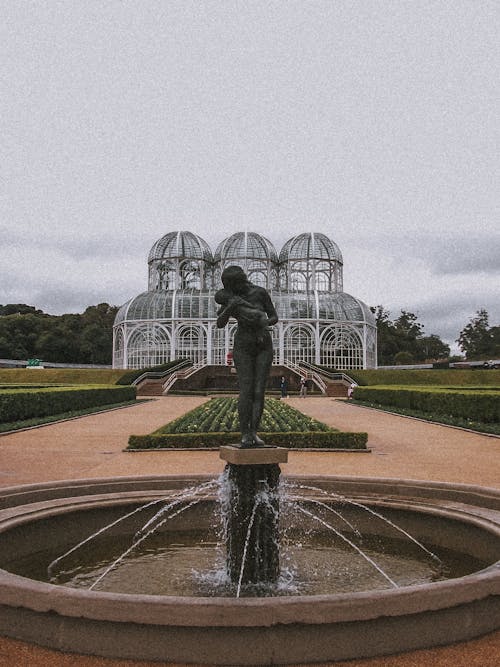 Gratis arkivbilde med botanisk, curitiba