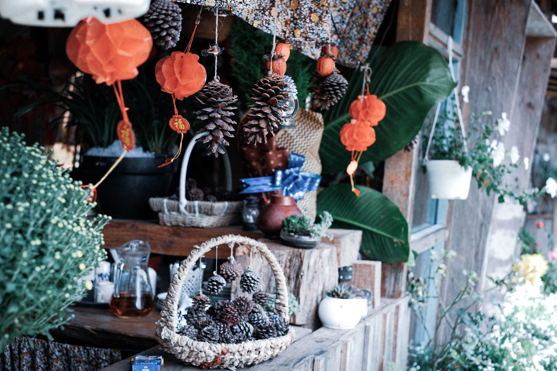 Rustic outdoor setup with hanging lanterns and pine cones, perfect for festive decor.