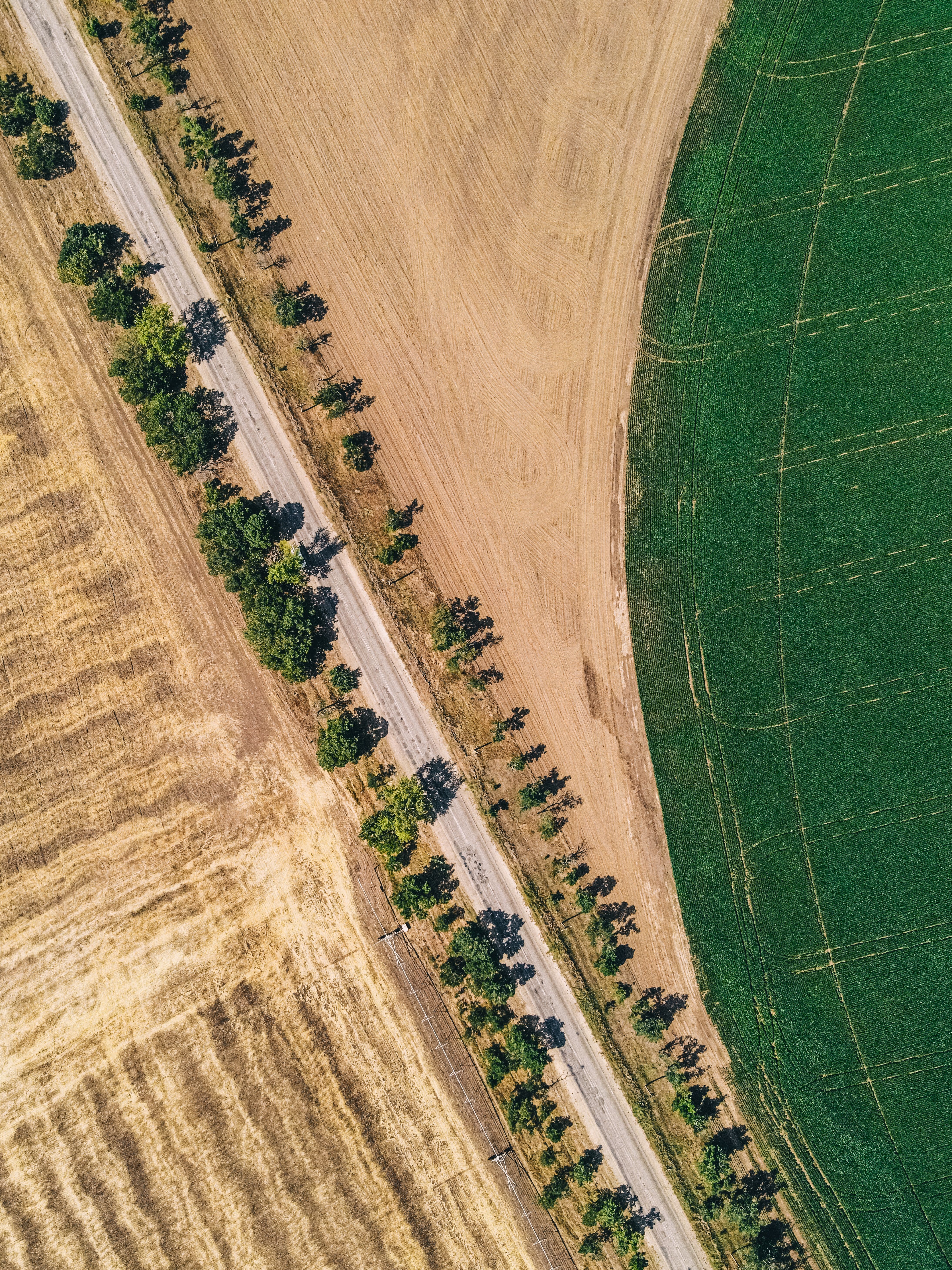 The 'Green Divide': Why Climate Tech Funds are Bypassing Africa's Urgent Needs (March 2026)