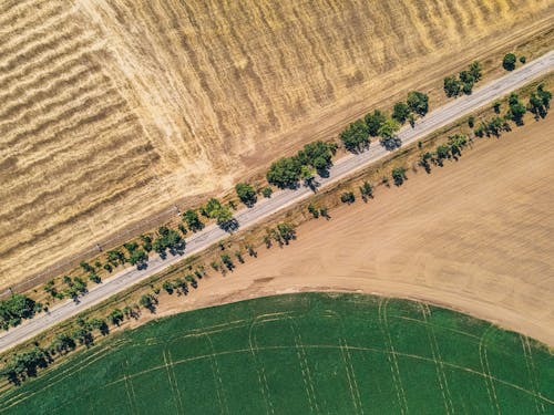 Aerial view of a field and road