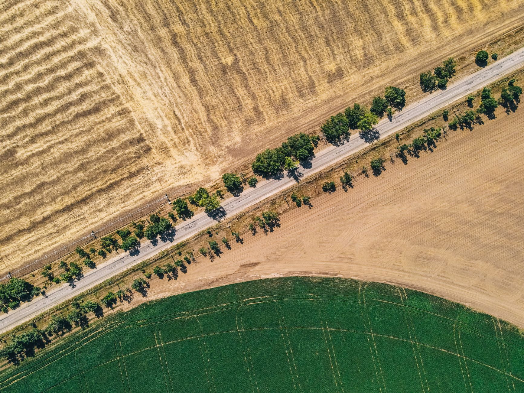 Boundary Survey or Subdivision Survey? The Difference for Washington Development Projects
