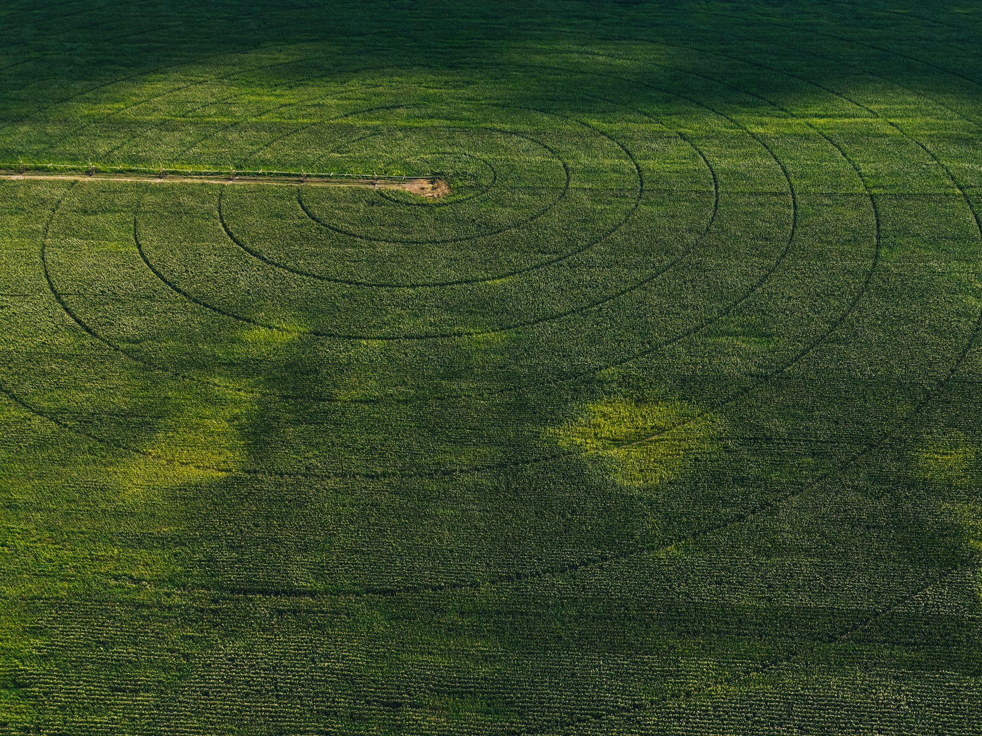Drone shot of a circular irrigation pattern on a lush green agricultural field.