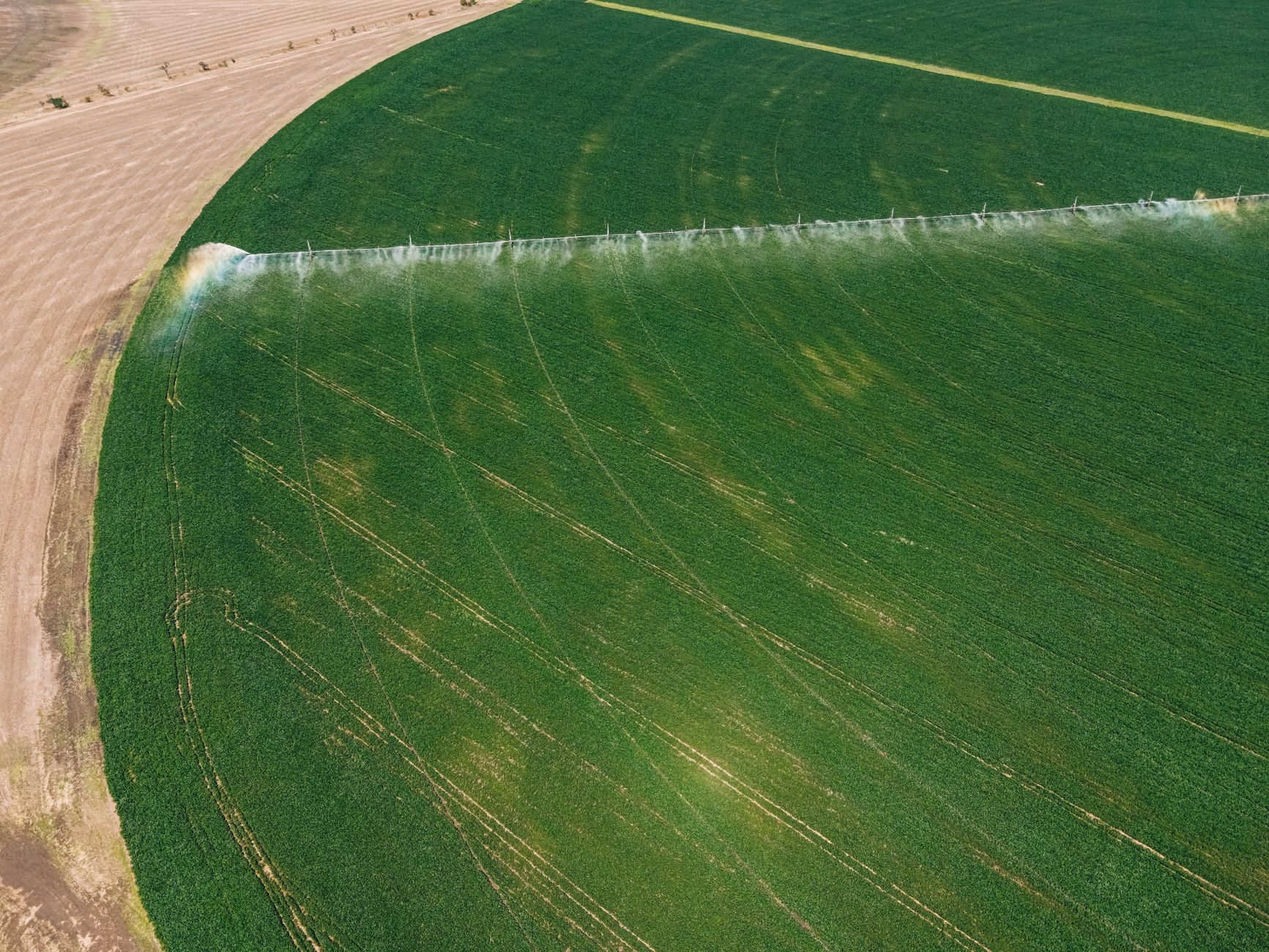 White Oak Landscape Expands Irrigation Services to Atlanta