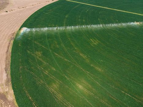 Can I Use Rainwater for Irrigation? The Role of Smart Water Systems