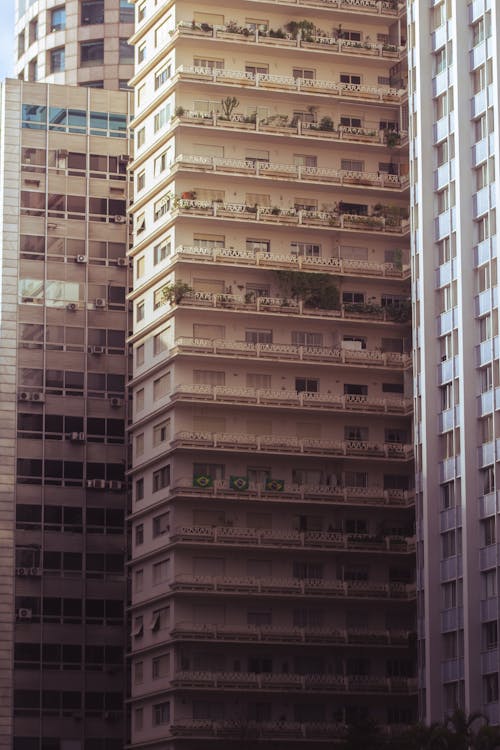 A tall building with a green plant growing on it