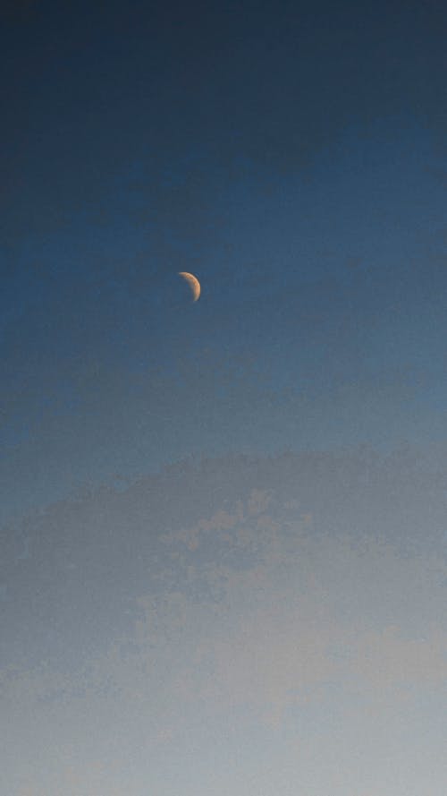 夕日を背景, 月, 月の写真の無料の写真素材