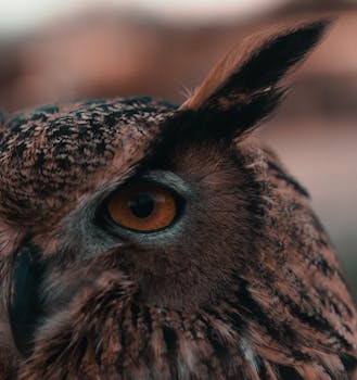 Close-up of an Eurasian eagle-owl showcasing its sharp features in a natural setting.