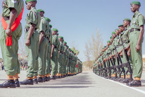 Free Soldiers in green uniforms stand in formation during a military parade. Stock Photo