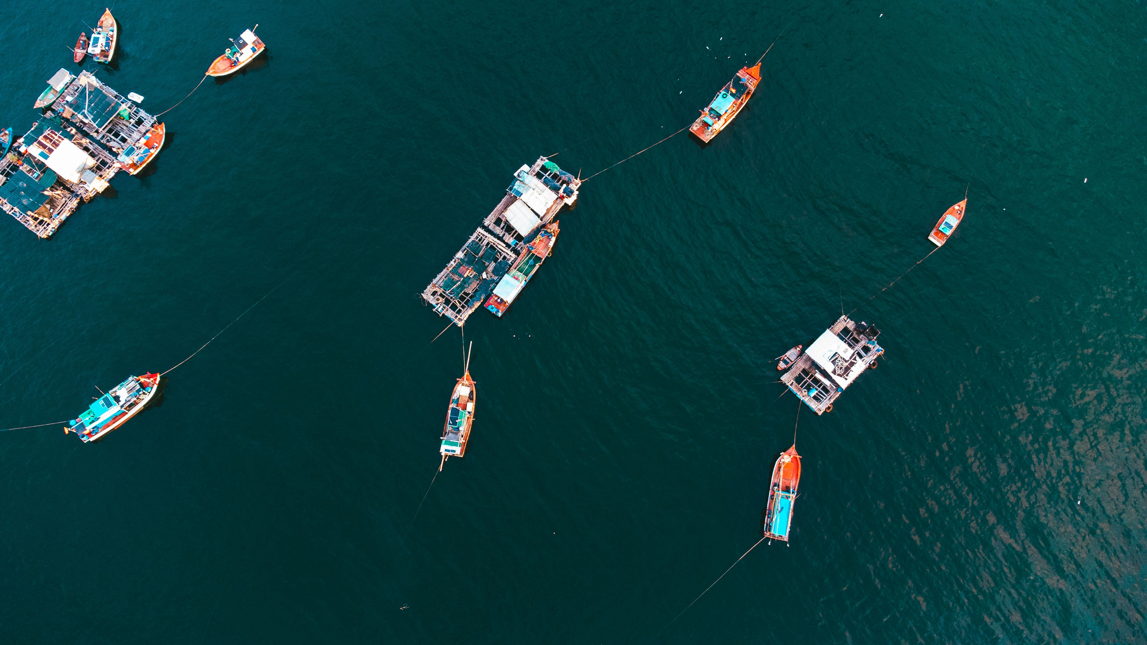 Aquarium AQUAGROVE & Mussel Raft Boat Trip
