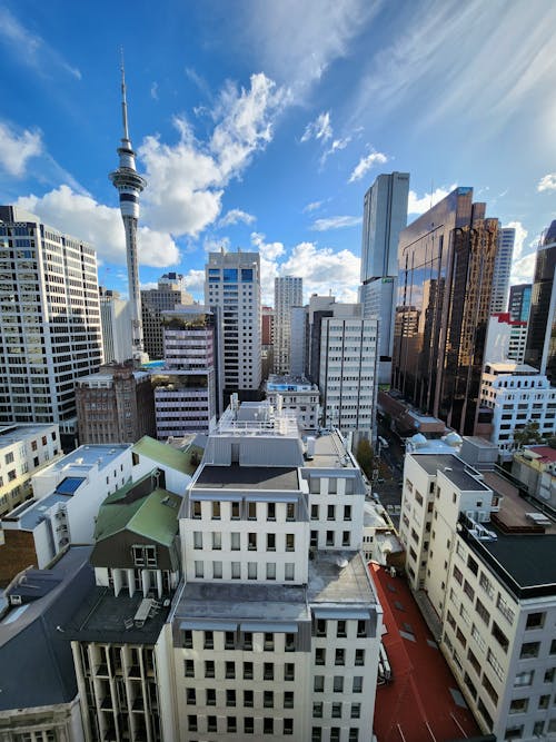 Základová fotografie zdarma na téma auckland, centra okresů, centrum města