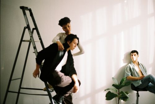 Free Three adults in a stylish indoor setting with ladder and potted plant. Stock Photo
