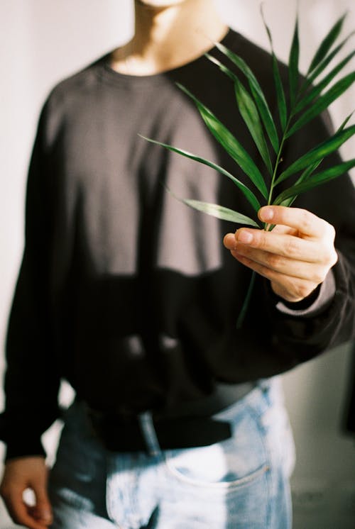 A man holding a plant in his hand