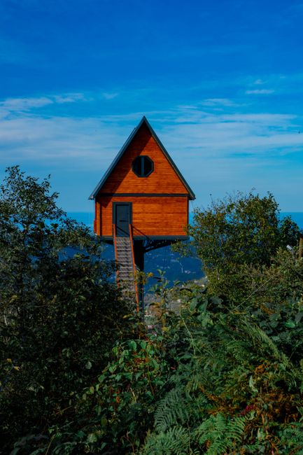 A picturesque wooden cabin elevated above forest greenery, set against a clear blue sky.