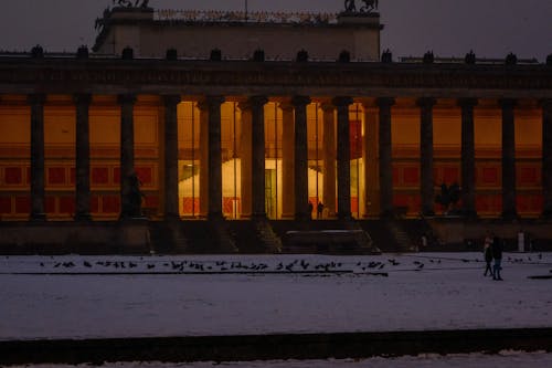 Immagine gratuita di altes museum, animali, berlino