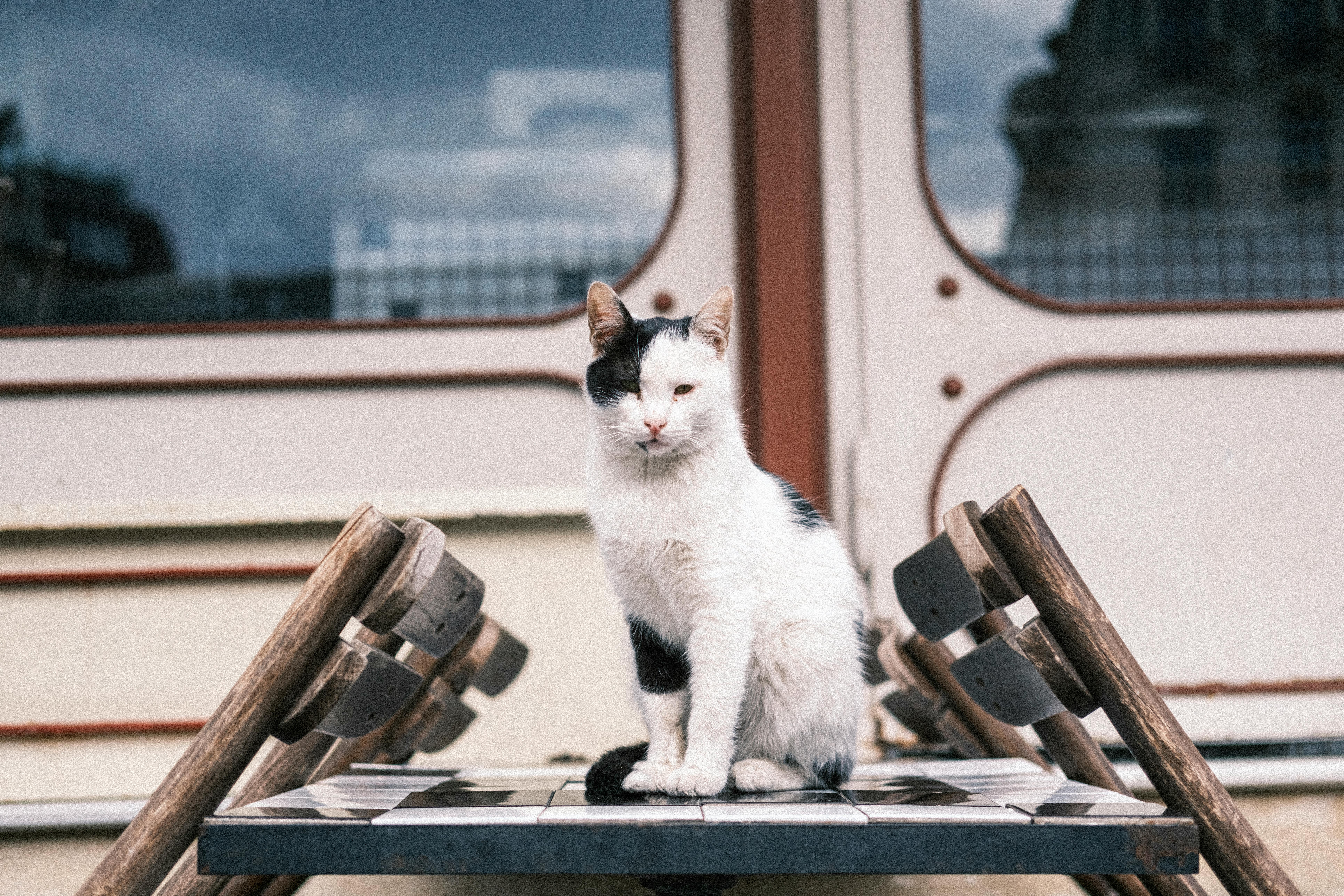 Ancient Palaces, a Cat Café, and KPop Demon Hunters—the Perfect Family Travel Itinerary for South Korea — Photo by Yusuf Çeli