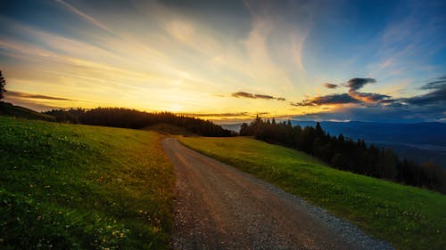 A dirt road leading to a grassy hillside at sunset