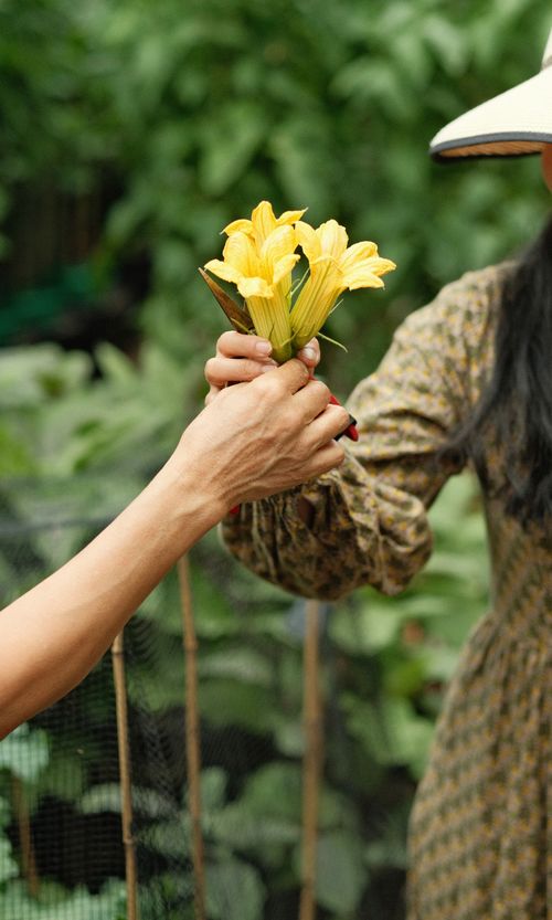 Free Two people exchanging a bouquet of yellow lilies in a lush garden, highlighting nature and connection. Stock Photo