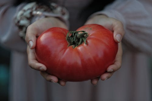 Бесплатное стоковое фото с крупный план, овощ, органический