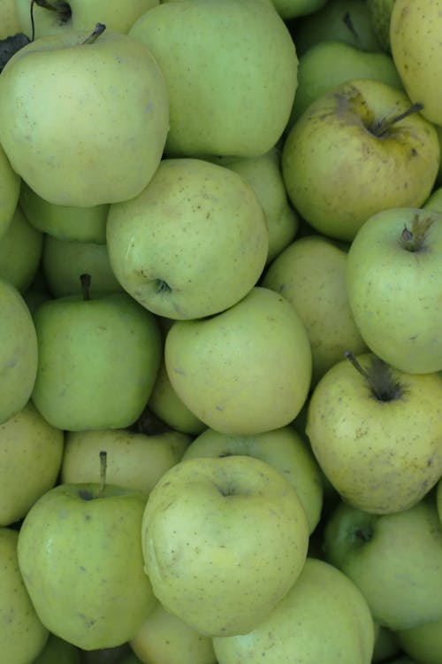 Darmowe zdjęcie z galerii z elma, jabłka, natychmiastowe zdjęcie